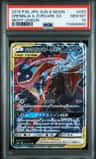 Greninja & Zoroark Gx