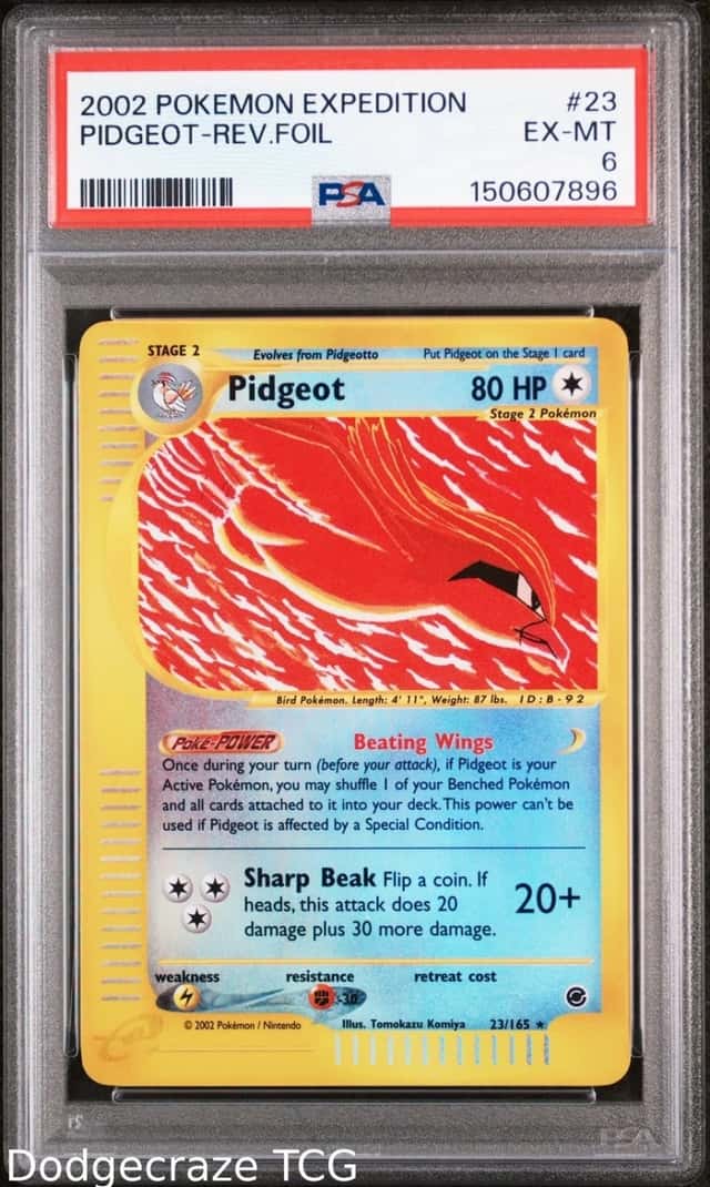 Pidgeot