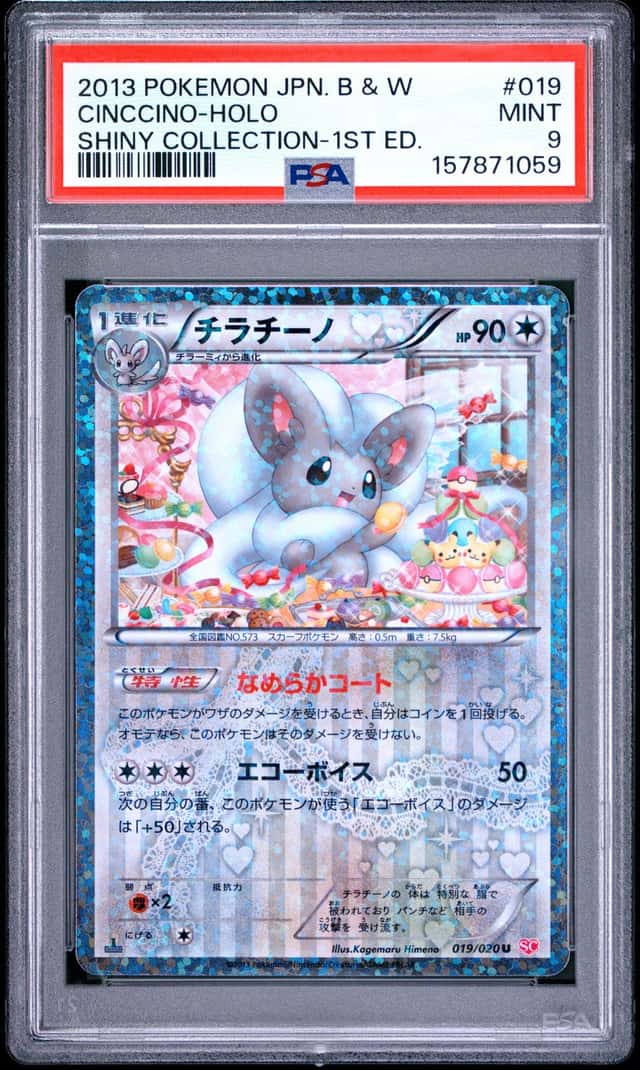 Cinccino