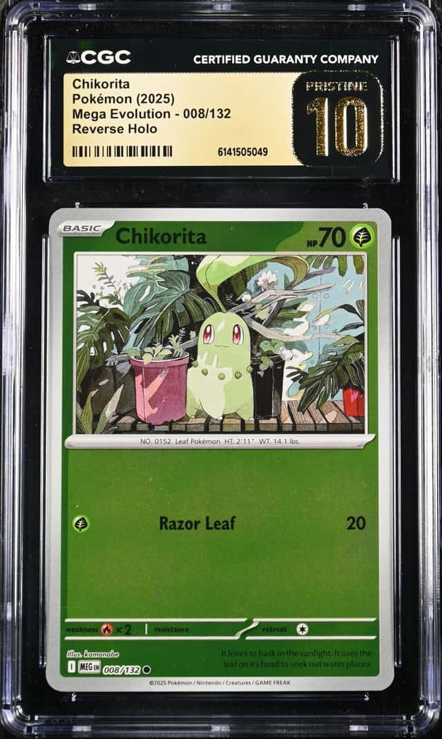 Chikorita
