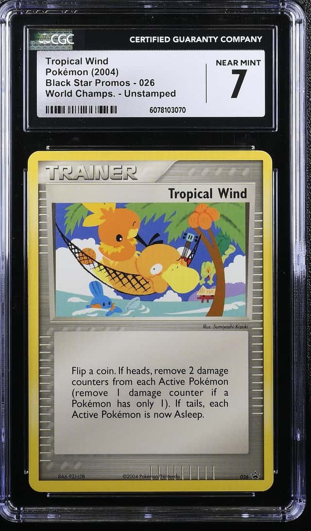 Tropical Wind