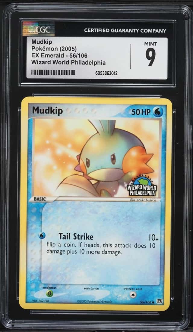 Mudkip