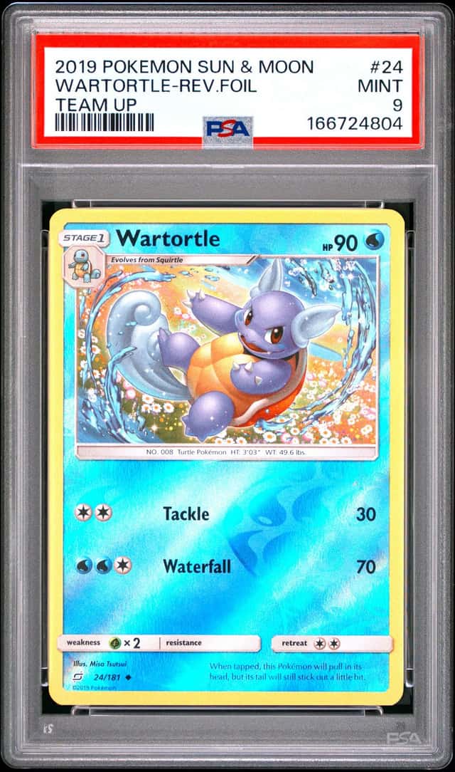 Wartortle