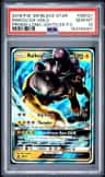 Raikou Gx