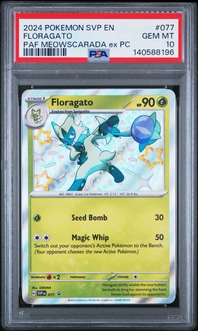 Floragato