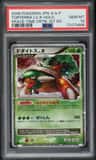 Torterra Lv X
