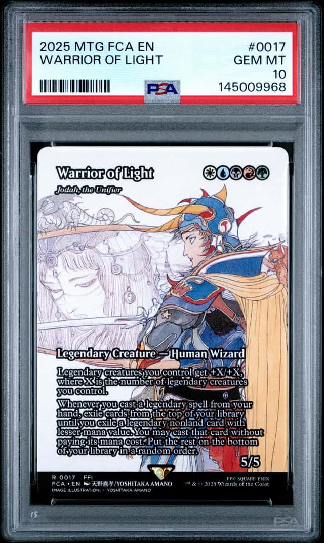 Warrior Of Light