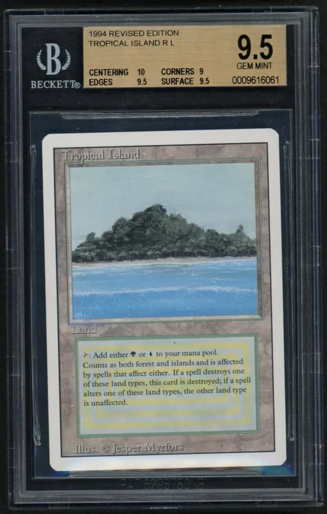 Tropical Island
