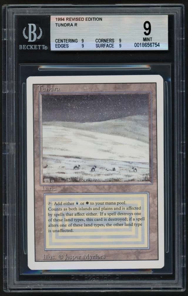 Tundra