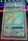 Raichu & Alolan Raichu Gx