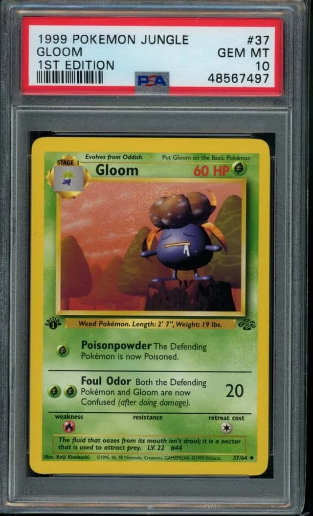 Gloom
