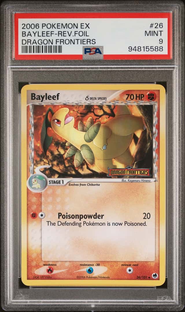 Bayleaf Δ