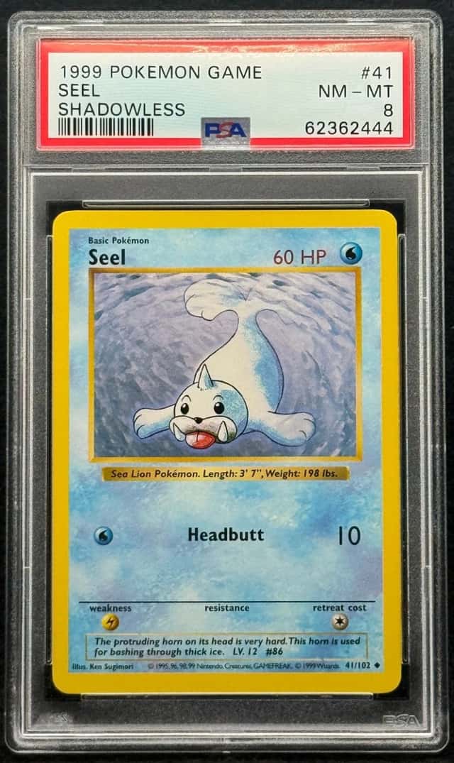 Seel