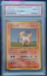 Ponyta