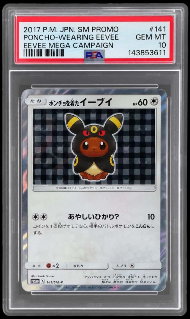 Poncho-Wearing Eevee
