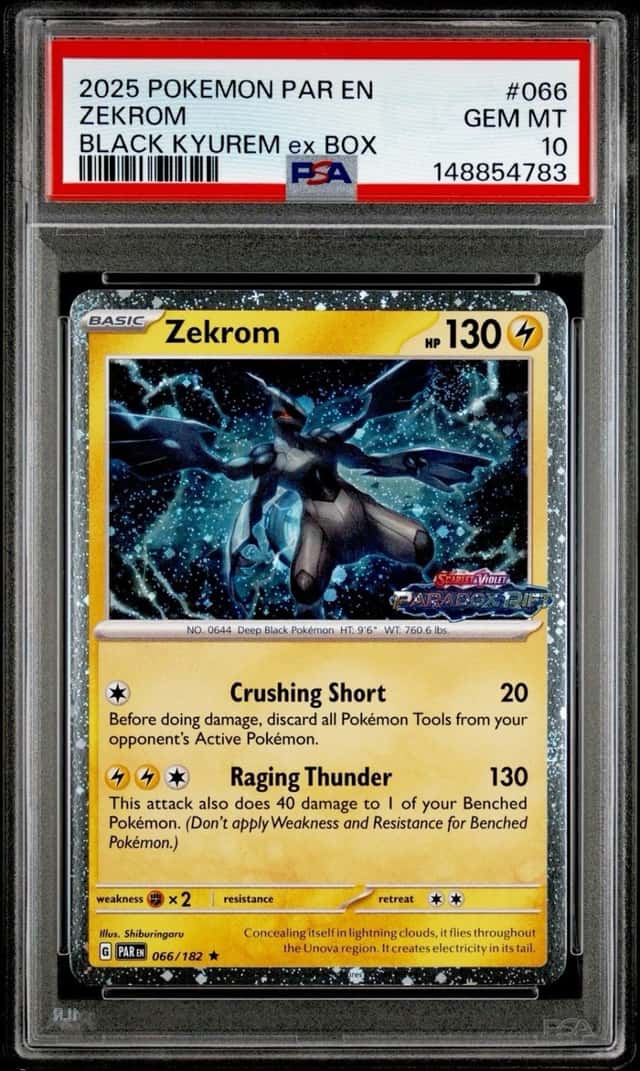 Zekrom