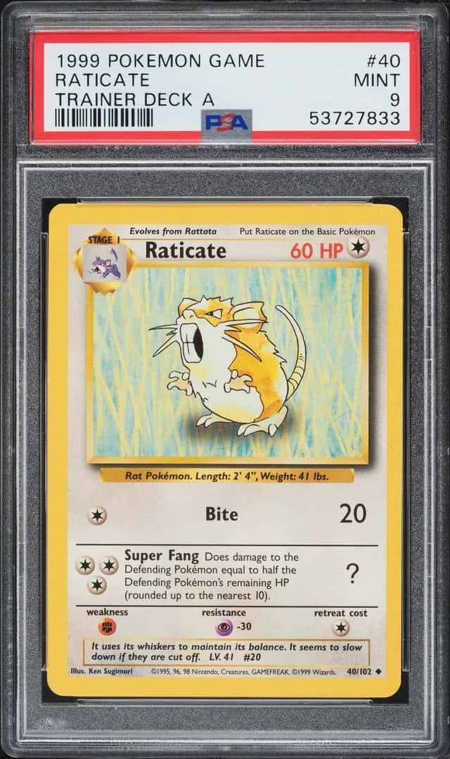 Raticate