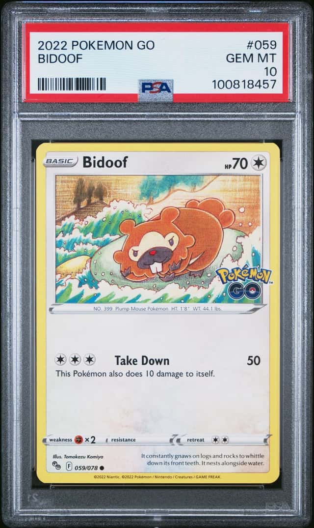 Bidoof
