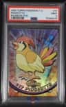 Pidgeotto