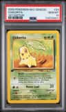Chikorita