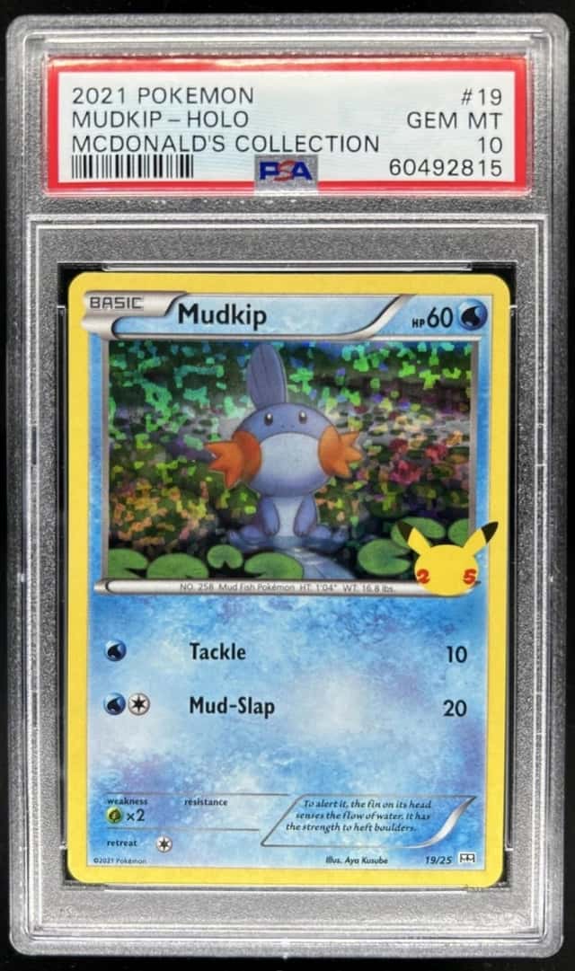 Mudkip