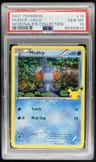 Mudkip