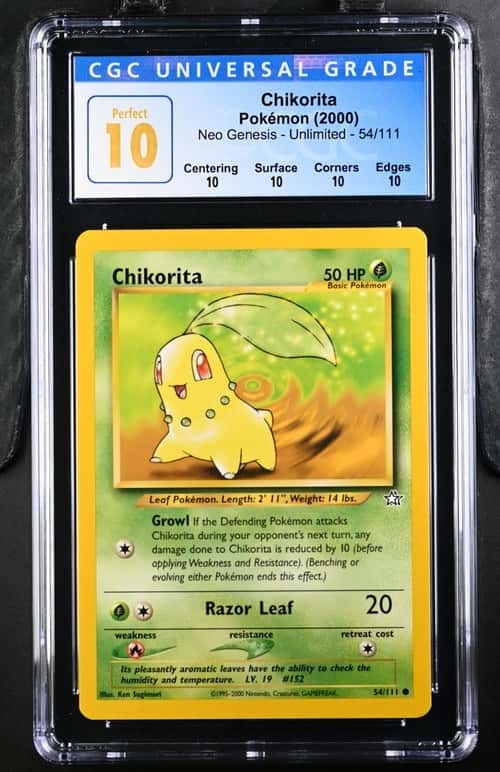Chikorita