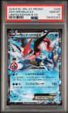 Ash-Greninja Ex