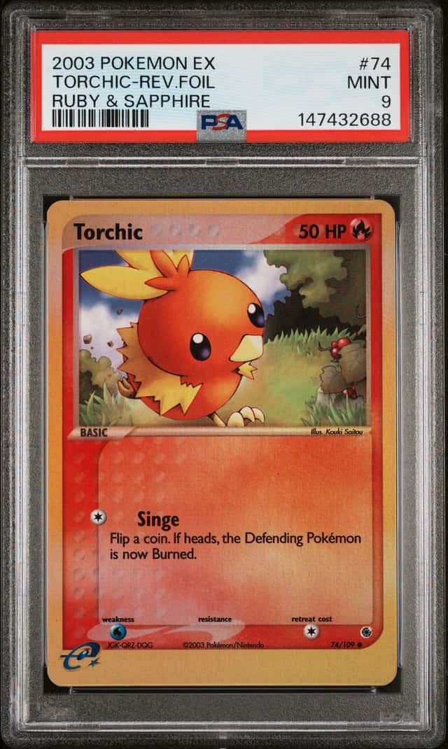 Torchic