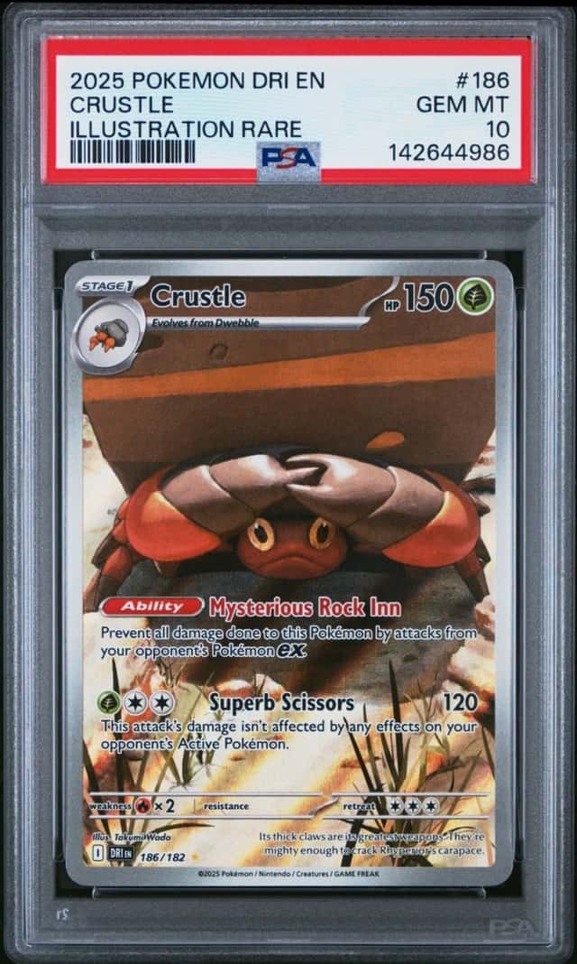 Crustle