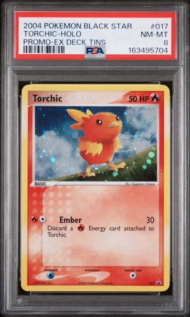 Torchic