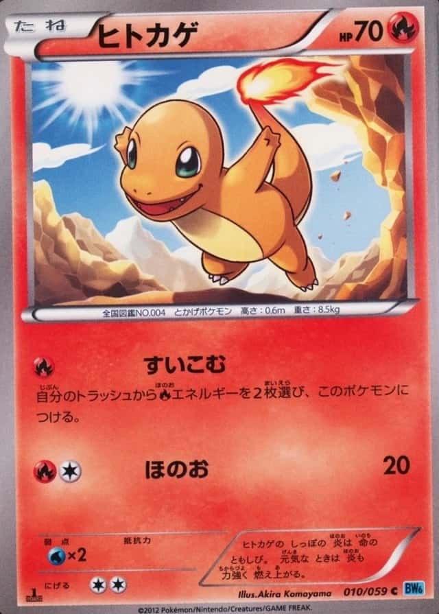 1st Edition