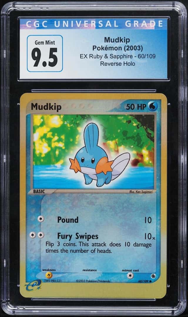 Mudkip