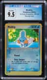 Mudkip