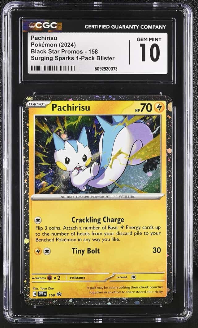 Pachirisu