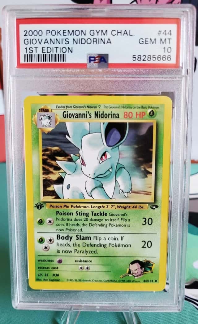 Giovanni's Nidorina