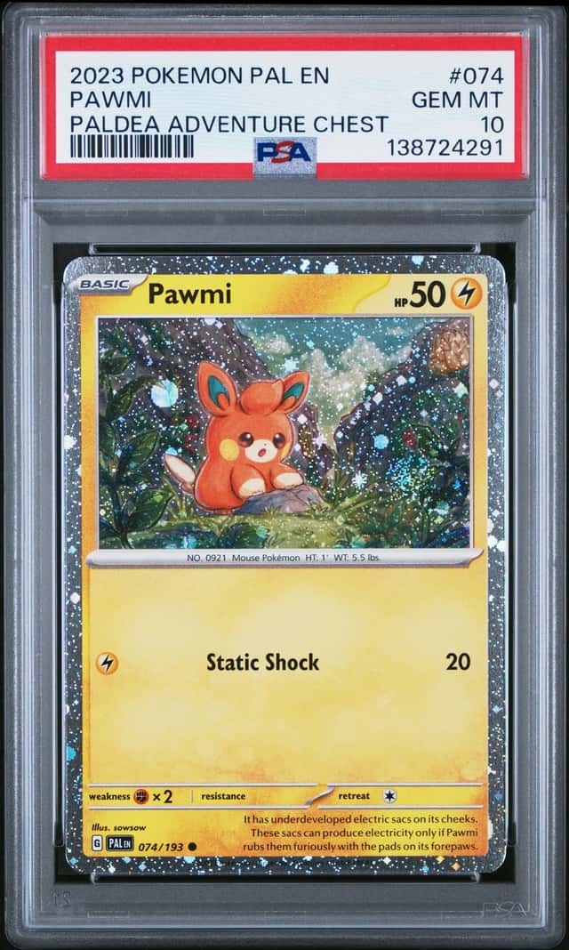 Pawmi