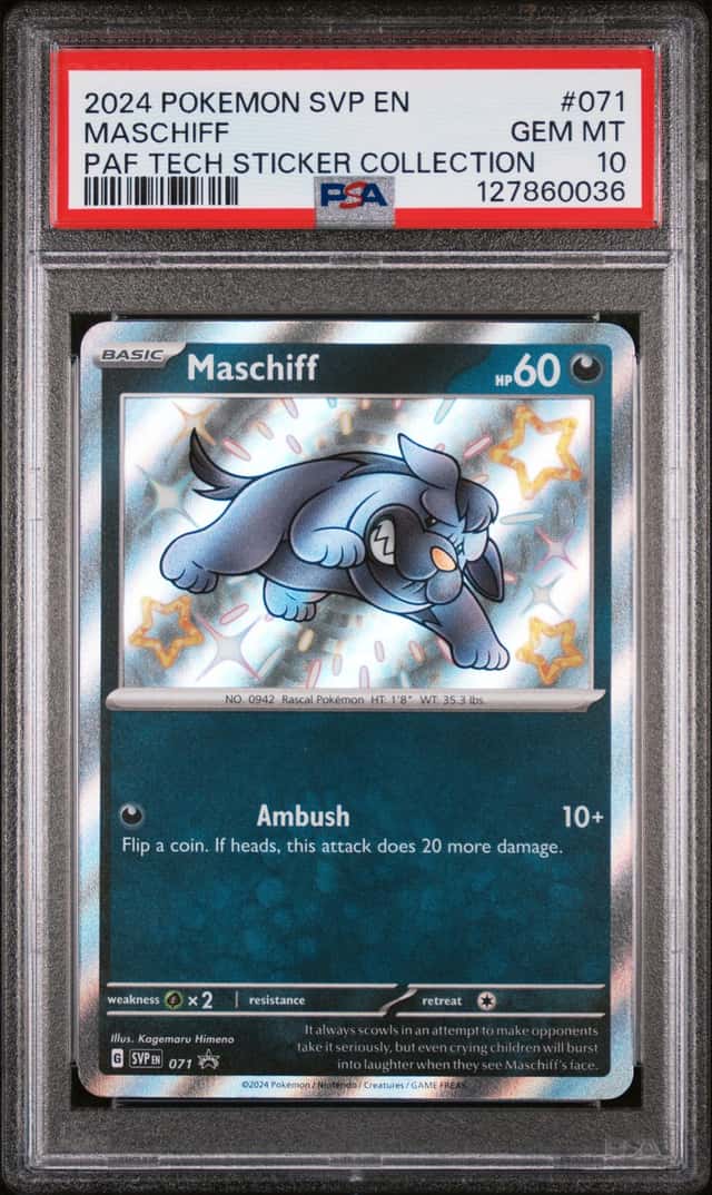 Maschiff