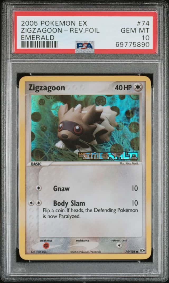 Zigzagoon