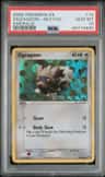 Zigzagoon