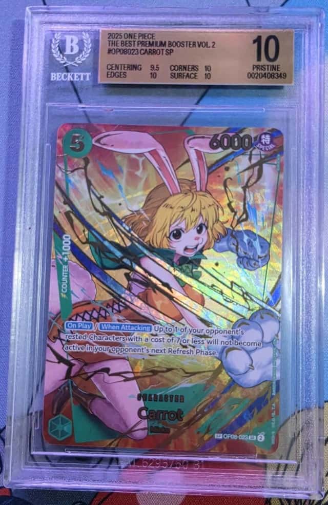 Carrot SP