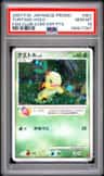 Turtwig
