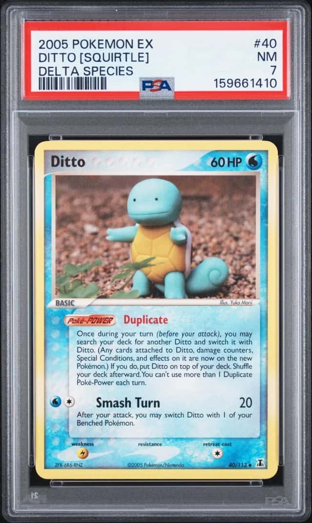 Ditto [Squirtle]