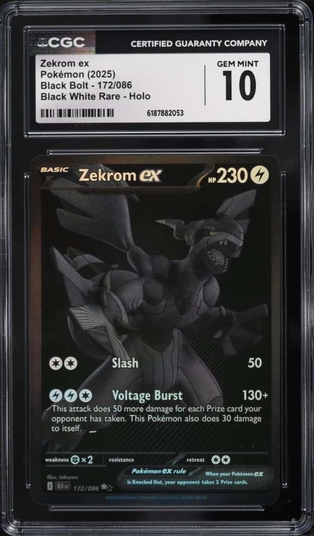 ZEKROM ex