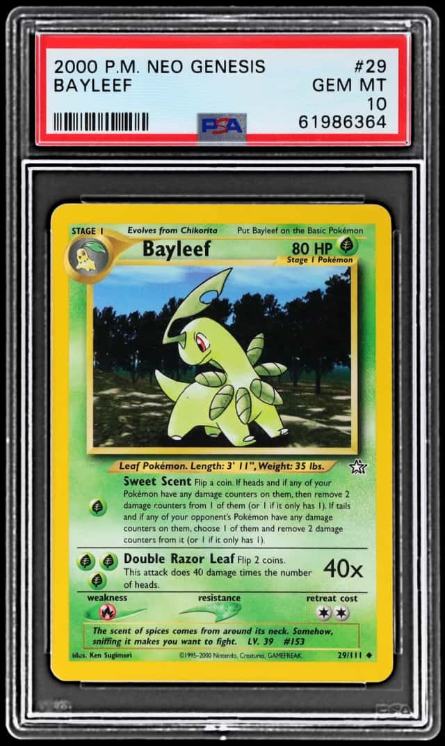 Bayleef