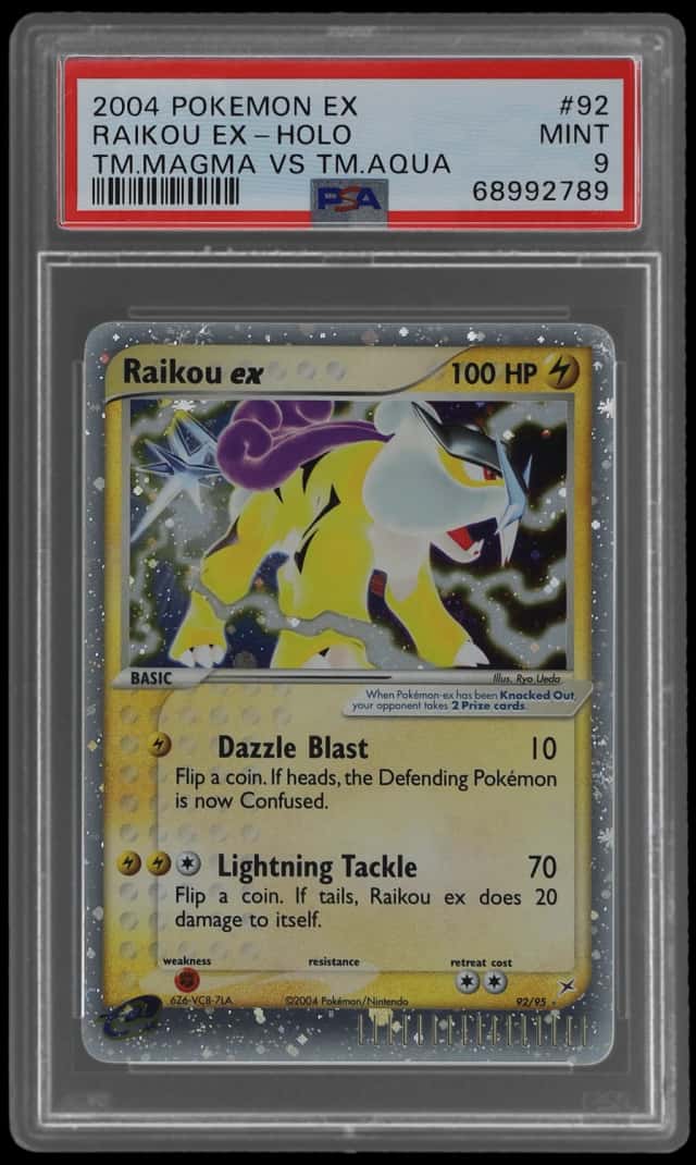 Raikou EX