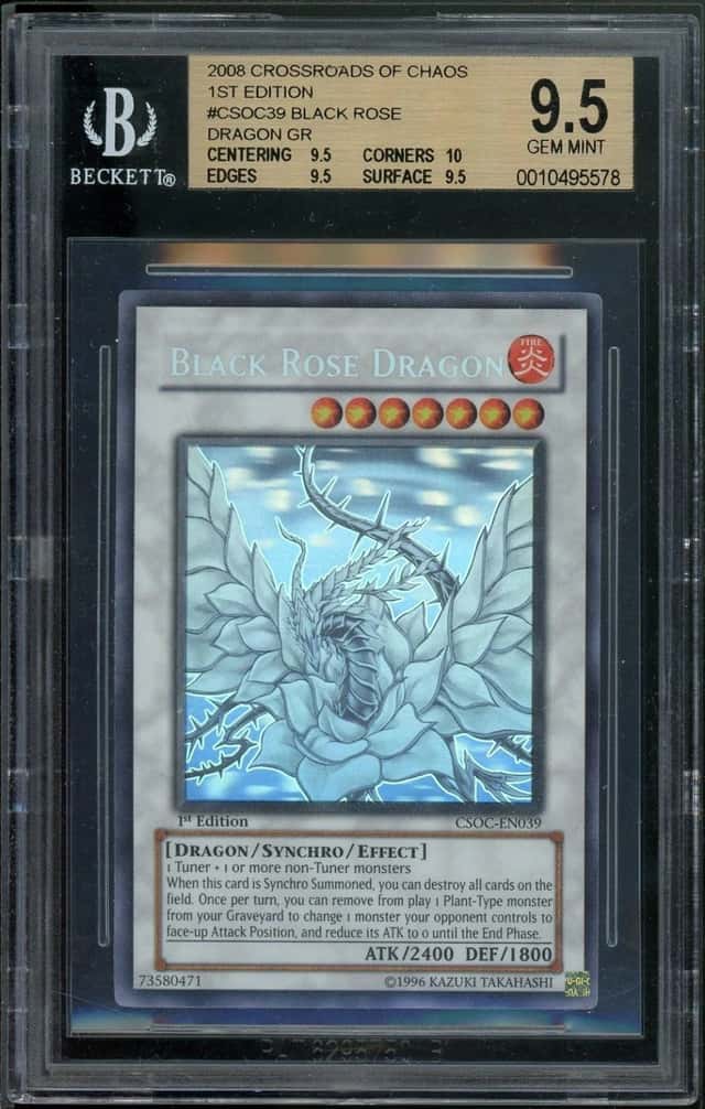 Black Rose Dragon