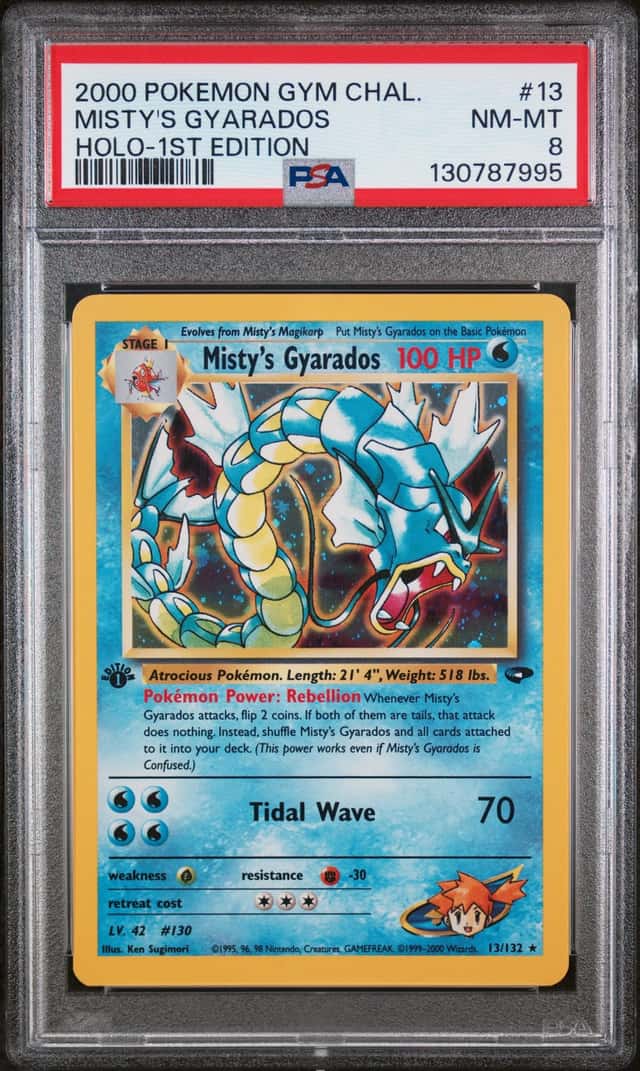 Misty's Gyarados