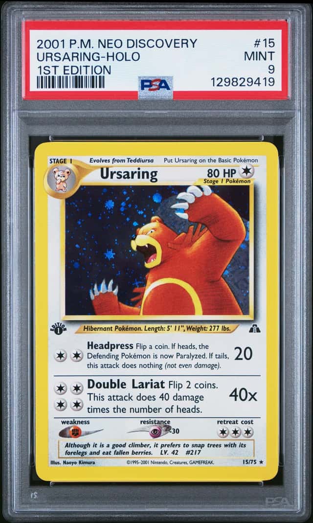 Ursaring