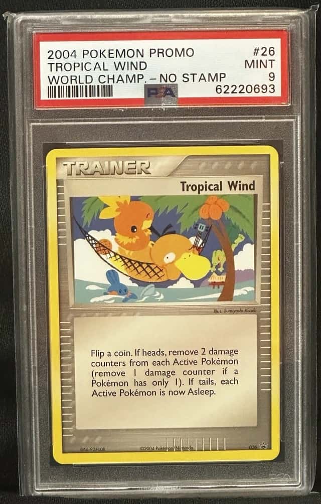 Tropical Wind